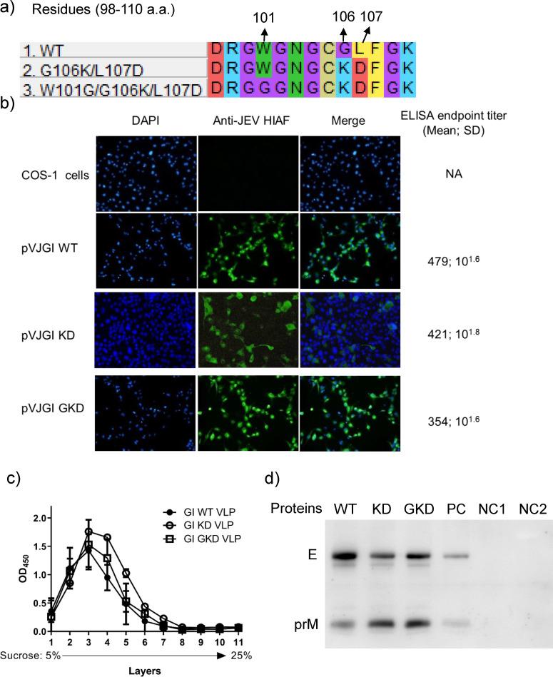 https://cdn.ncbi.nlm.nih.gov/pmc/blobs/4098/11019926/032d8593e5d9/jvi.01773-23.f002.jpg
