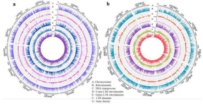 https://cdn.ncbi.nlm.nih.gov/pmc/blobs/409a/11748844/0e48b6f524f8/12864_2025_11246_Fig1_HTML.jpg