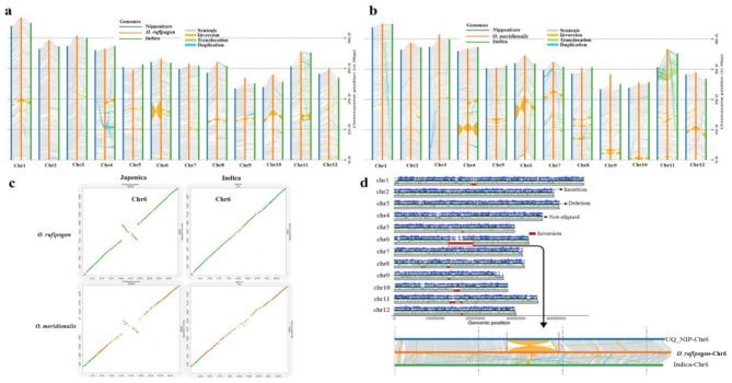 https://cdn.ncbi.nlm.nih.gov/pmc/blobs/409a/11748844/c15dd7e69113/12864_2025_11246_Fig3_HTML.jpg