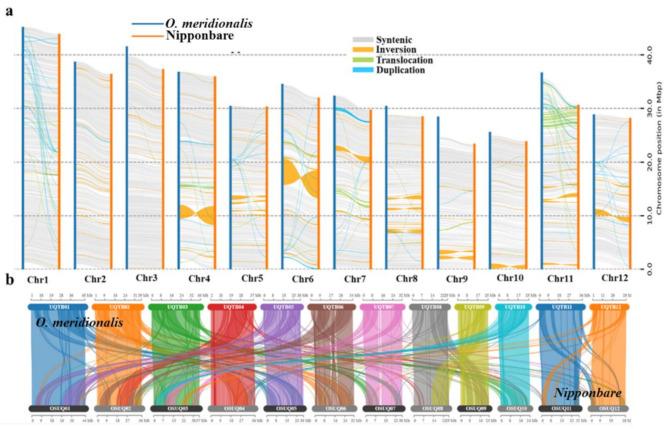 https://cdn.ncbi.nlm.nih.gov/pmc/blobs/409a/11748844/d698384bf2d1/12864_2025_11246_Fig6_HTML.jpg