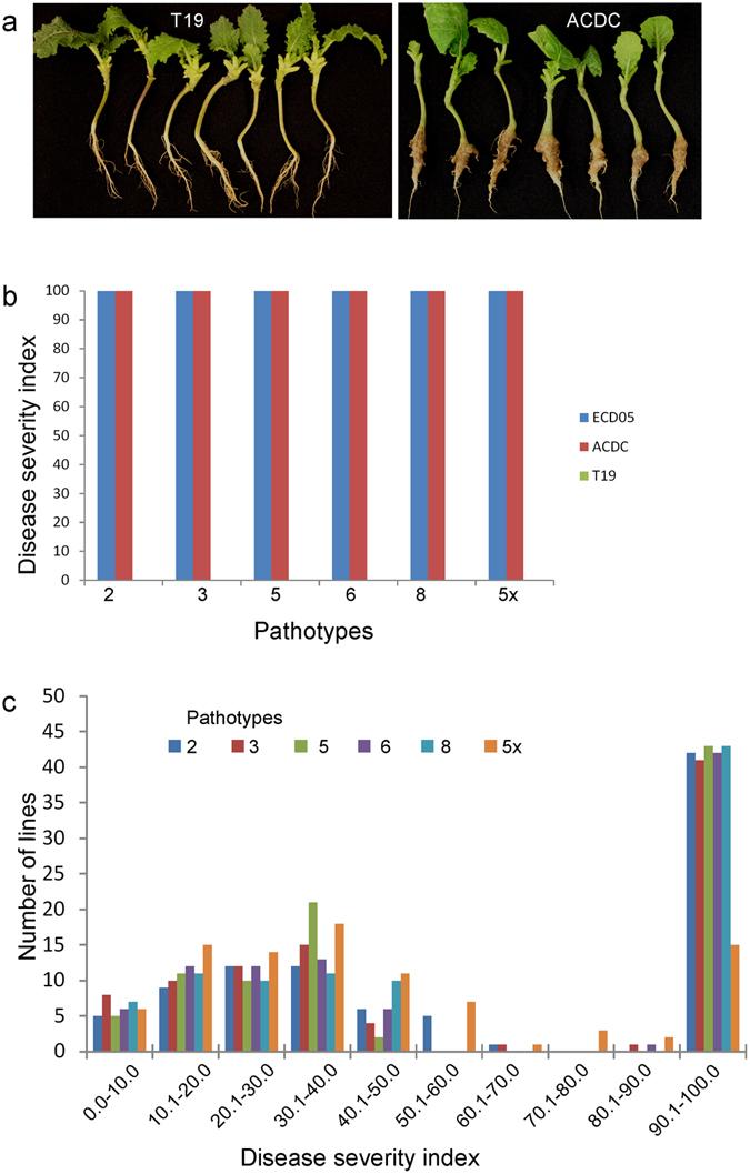 https://cdn.ncbi.nlm.nih.gov/pmc/blobs/409b/5495781/0841738a2e80/41598_2017_4903_Fig1_HTML.jpg