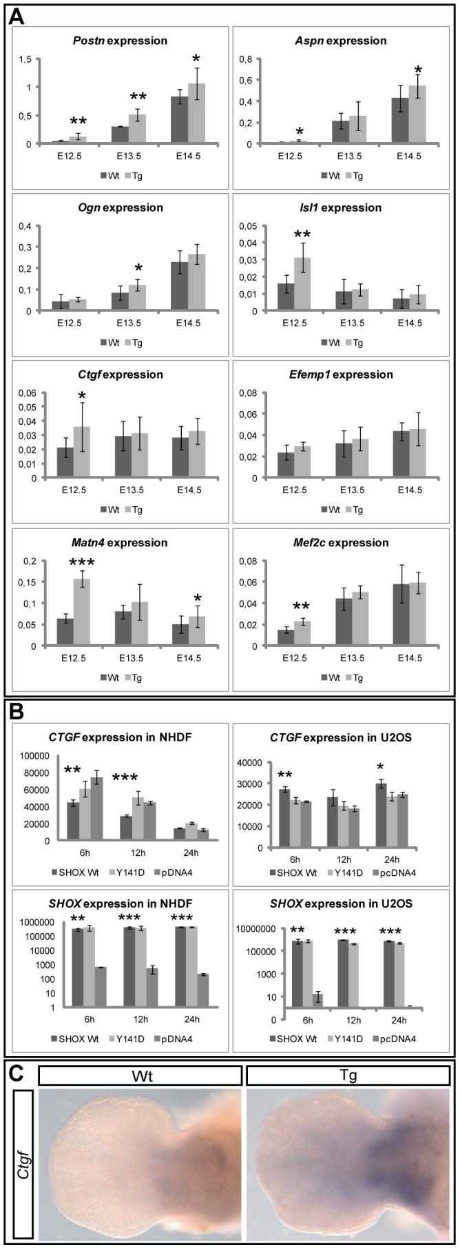 https://cdn.ncbi.nlm.nih.gov/pmc/blobs/409d/4041798/8c63e1c6d6b9/pone.0098543.g003.jpg