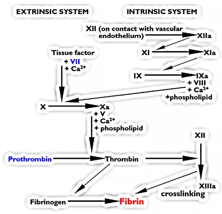 https://cdn.ncbi.nlm.nih.gov/pmc/blobs/409e/11510989/6b7e575e7c16/toxins-16-00430-g001.jpg