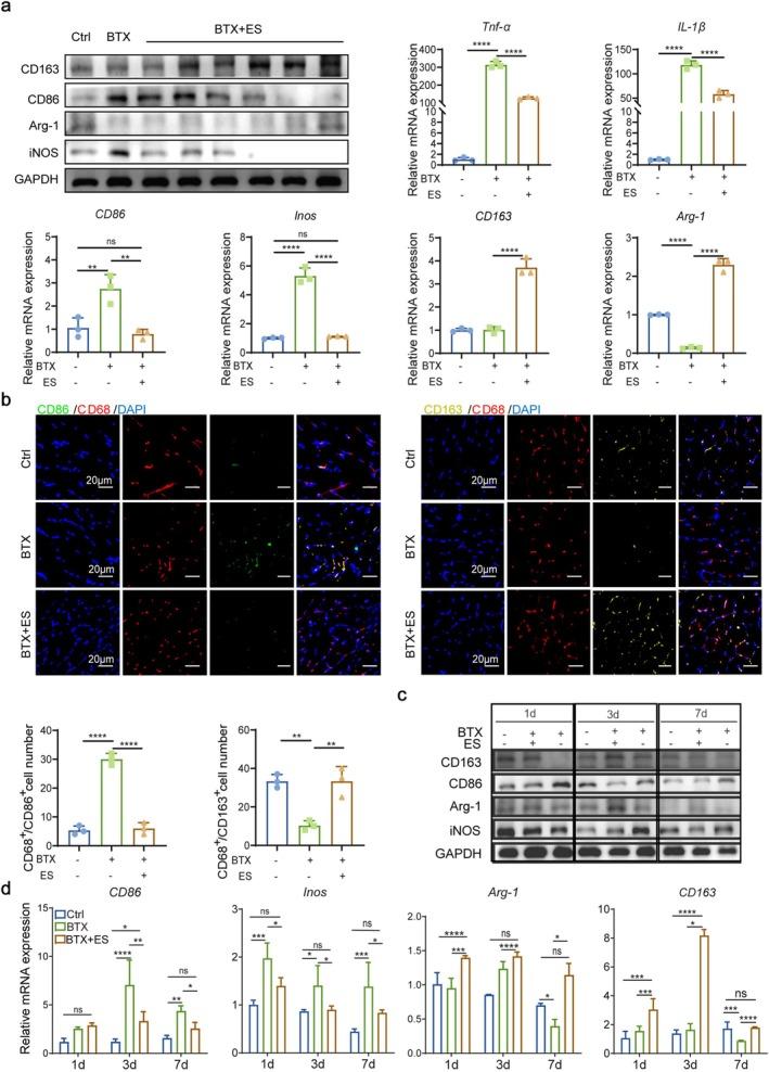 https://cdn.ncbi.nlm.nih.gov/pmc/blobs/409e/12356994/015189623441/JCSM-16-e70048-g006.jpg
