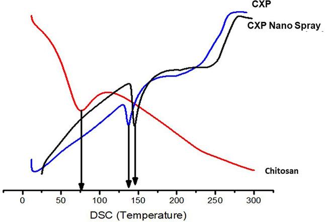 https://cdn.ncbi.nlm.nih.gov/pmc/blobs/409f/11827433/2d6db8b04854/40360_2025_853_Fig3_HTML.jpg
