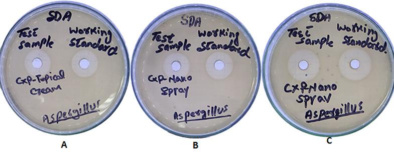 https://cdn.ncbi.nlm.nih.gov/pmc/blobs/409f/11827433/ffd5dff31aa4/40360_2025_853_Fig11_HTML.jpg