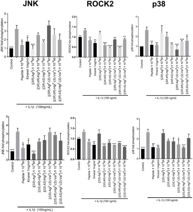 https://cdn.ncbi.nlm.nih.gov/pmc/blobs/409f/6381024/d52a61a15826/fchem-07-00023-g0007.jpg