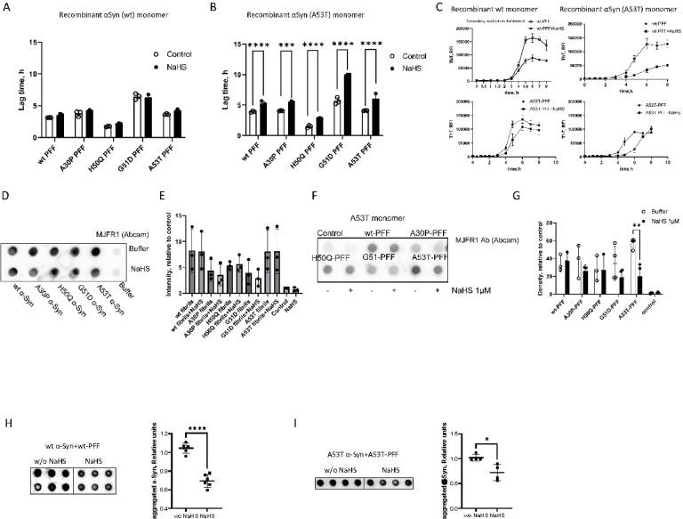 https://cdn.ncbi.nlm.nih.gov/pmc/blobs/40a0/12050307/cdb0091f4fe7/41598_2025_99794_Fig2_HTML.jpg