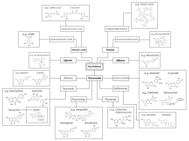 https://cdn.ncbi.nlm.nih.gov/pmc/blobs/40a2/9495355/c84d9ba1fa7c/biomedicines-10-02087-g001.jpg