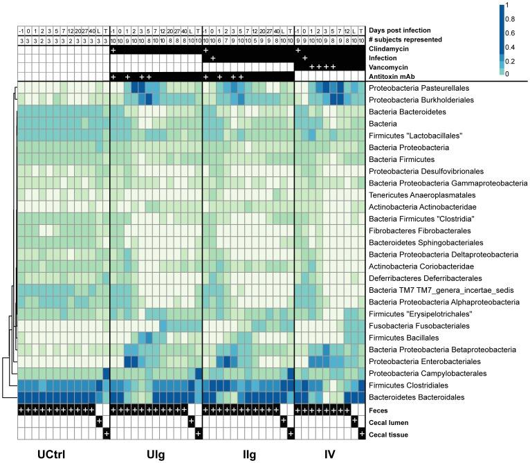 https://cdn.ncbi.nlm.nih.gov/pmc/blobs/40a3/3468616/6aac0c743907/pone.0046966.g004.jpg