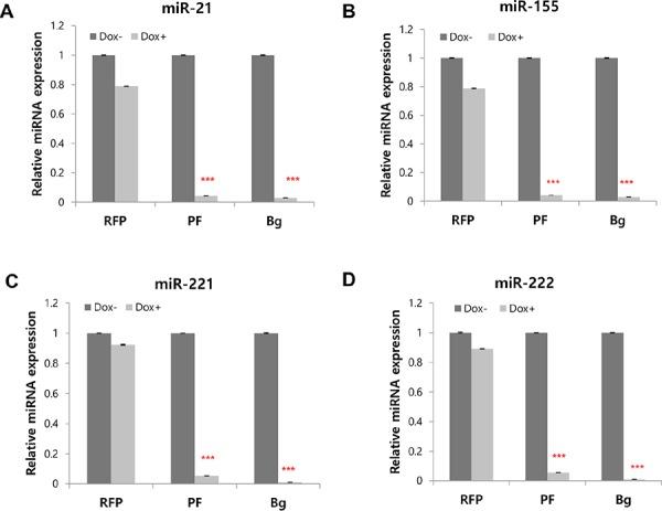 https://cdn.ncbi.nlm.nih.gov/pmc/blobs/40a3/4653011/490381a43bc0/oncotarget-06-20370-g004a.jpg