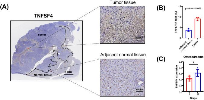 https://cdn.ncbi.nlm.nih.gov/pmc/blobs/40a6/12151969/77d66e767042/12672_2025_2666_Fig8_HTML.jpg