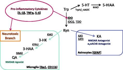 https://cdn.ncbi.nlm.nih.gov/pmc/blobs/40a7/4884395/f809ab6016ab/12974_2016_590_Fig1_HTML.jpg