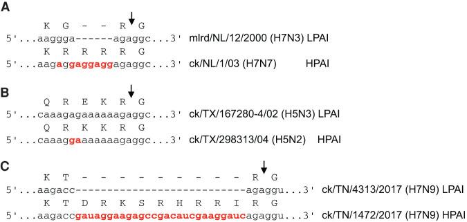https://cdn.ncbi.nlm.nih.gov/pmc/blobs/40a7/7812872/473f167481a0/123f01.jpg