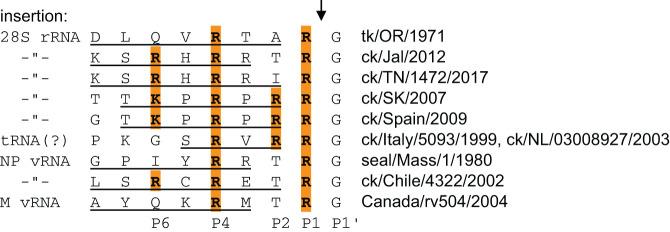 https://cdn.ncbi.nlm.nih.gov/pmc/blobs/40a7/7812872/e8a6f362cfb3/123f03.jpg