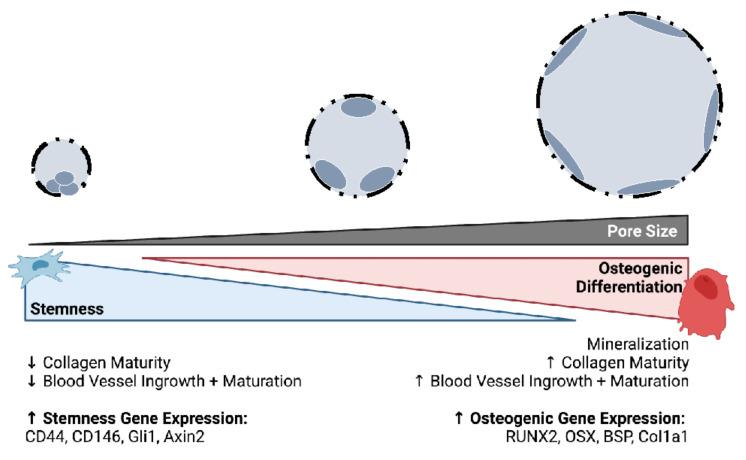 https://cdn.ncbi.nlm.nih.gov/pmc/blobs/40aa/9102667/efee46b67069/ijms-23-04499-sch001.jpg
