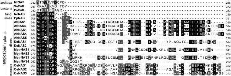 https://cdn.ncbi.nlm.nih.gov/pmc/blobs/40af/10248798/0b78ce9f50f9/gr5.jpg