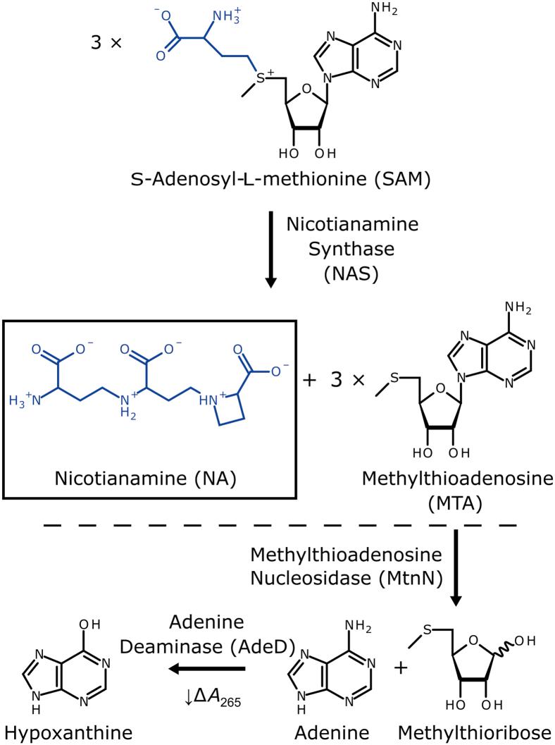 https://cdn.ncbi.nlm.nih.gov/pmc/blobs/40af/10248798/babd096ba6fe/gr1.jpg