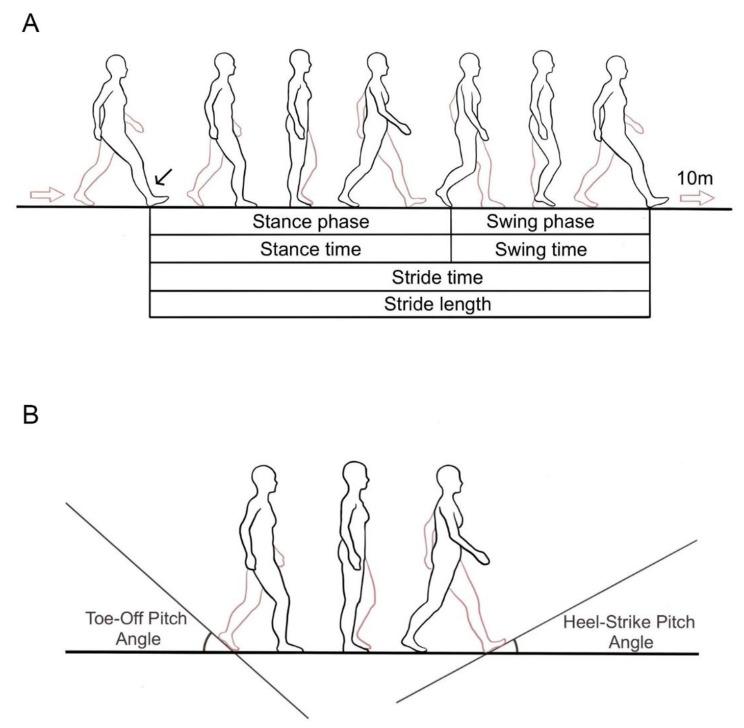 https://cdn.ncbi.nlm.nih.gov/pmc/blobs/40af/11059709/634a224e2cf9/12984_2024_1364_Fig1_HTML.jpg