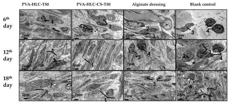 https://cdn.ncbi.nlm.nih.gov/pmc/blobs/40af/6418977/97f539d7bd2b/polymers-09-00727-g022.jpg