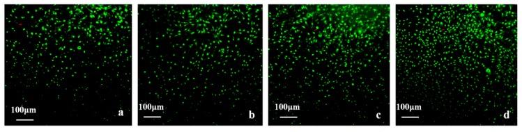 https://cdn.ncbi.nlm.nih.gov/pmc/blobs/40af/6418977/f95252fc42f9/polymers-09-00727-g011.jpg