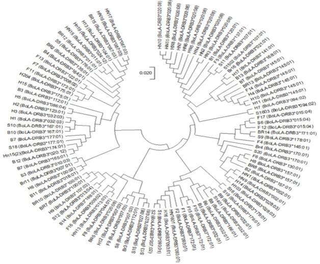 https://cdn.ncbi.nlm.nih.gov/pmc/blobs/40af/8071750/658c2e18015a/jast-63-2-248-g4.jpg