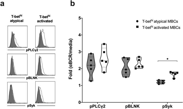 https://cdn.ncbi.nlm.nih.gov/pmc/blobs/40b0/8941117/41dfac1aadd8/41598_2022_8976_Fig5_HTML.jpg