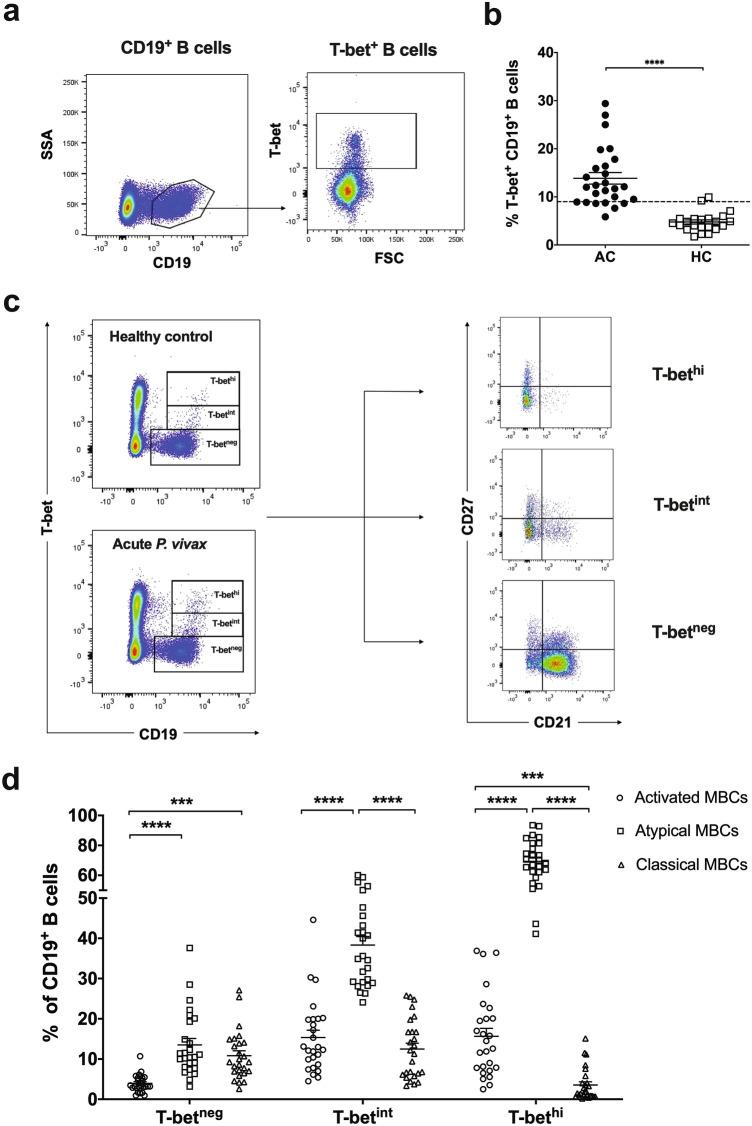 https://cdn.ncbi.nlm.nih.gov/pmc/blobs/40b0/8941117/f044b8c3ce35/41598_2022_8976_Fig1_HTML.jpg