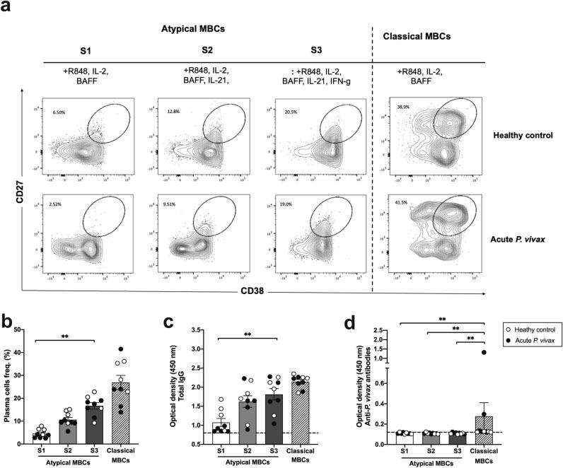 https://cdn.ncbi.nlm.nih.gov/pmc/blobs/40b0/8941117/f80f45b0c280/41598_2022_8976_Fig6_HTML.jpg