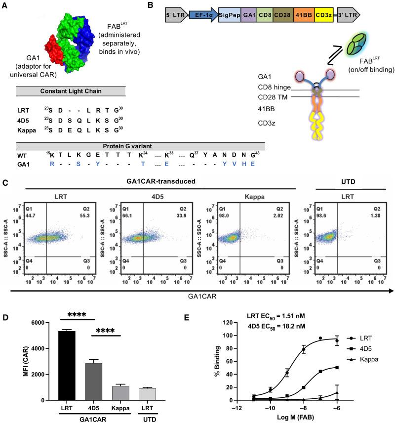 https://cdn.ncbi.nlm.nih.gov/pmc/blobs/40b2/12227065/179ce765a749/sciadv.adv4937-f1.jpg