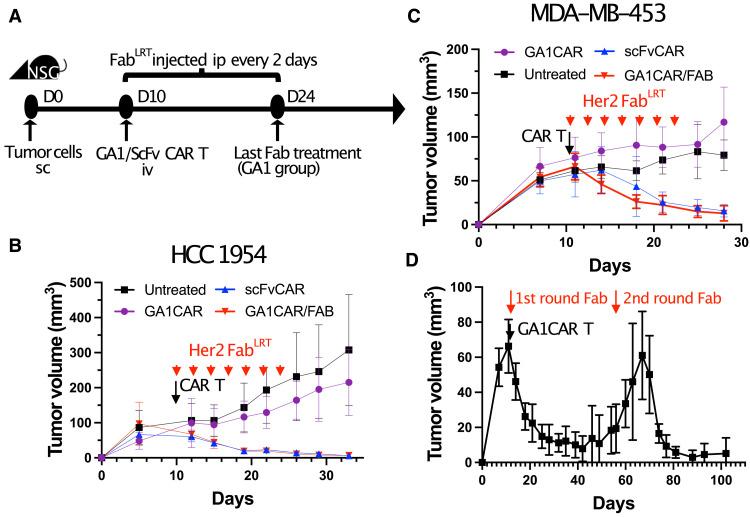 https://cdn.ncbi.nlm.nih.gov/pmc/blobs/40b2/12227065/87931e16a186/sciadv.adv4937-f4.jpg