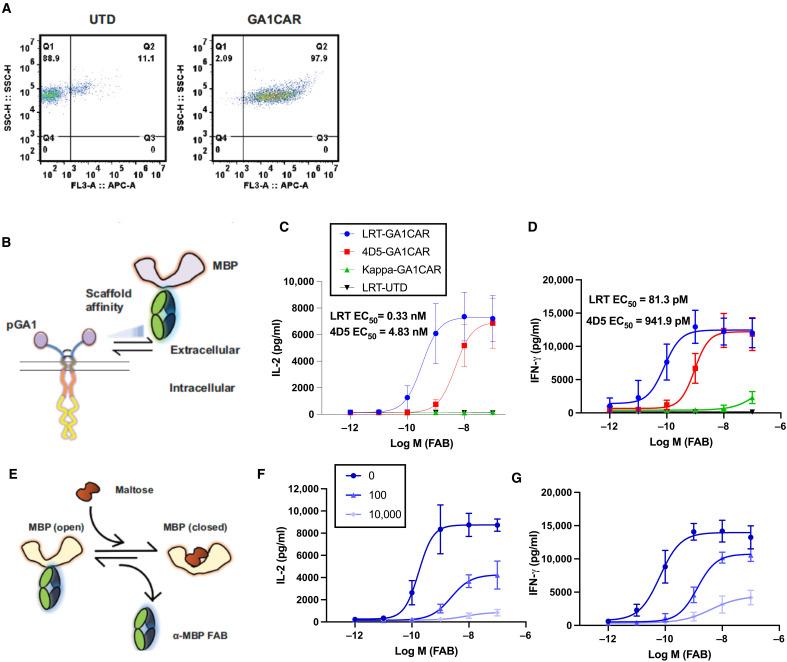 https://cdn.ncbi.nlm.nih.gov/pmc/blobs/40b2/12227065/dcc69692ba34/sciadv.adv4937-f2.jpg