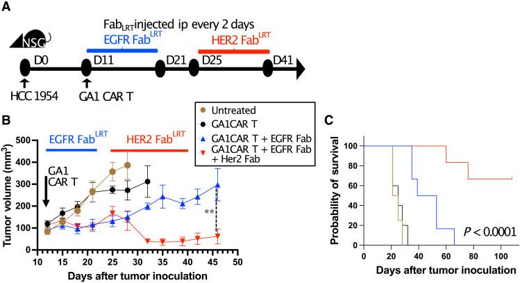 https://cdn.ncbi.nlm.nih.gov/pmc/blobs/40b2/12227065/f602bd60ee06/sciadv.adv4937-f6.jpg
