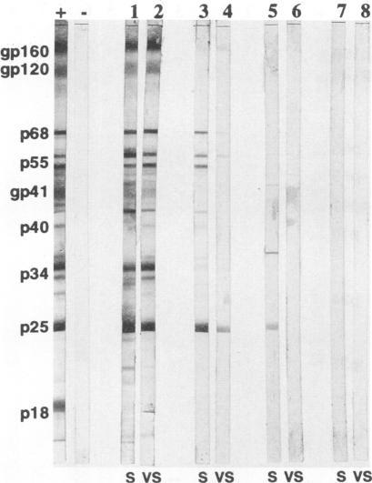 https://cdn.ncbi.nlm.nih.gov/pmc/blobs/40b2/263660/e2d94b9a4e59/jcm00005-0131-a.jpg