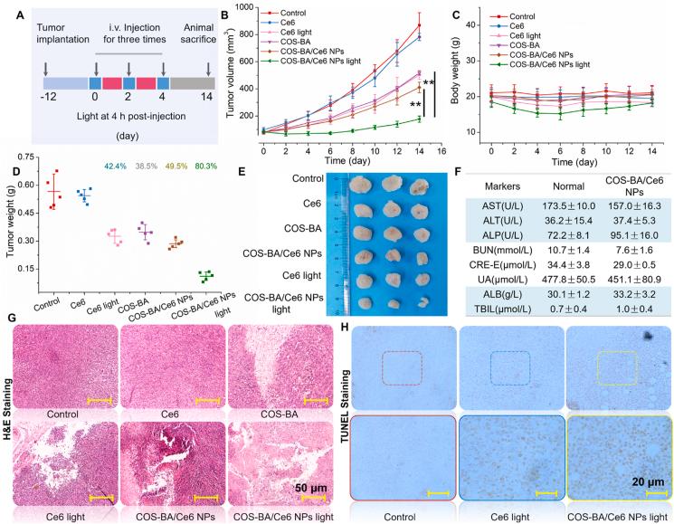 https://cdn.ncbi.nlm.nih.gov/pmc/blobs/40b2/9978634/f05340911631/gr7.jpg