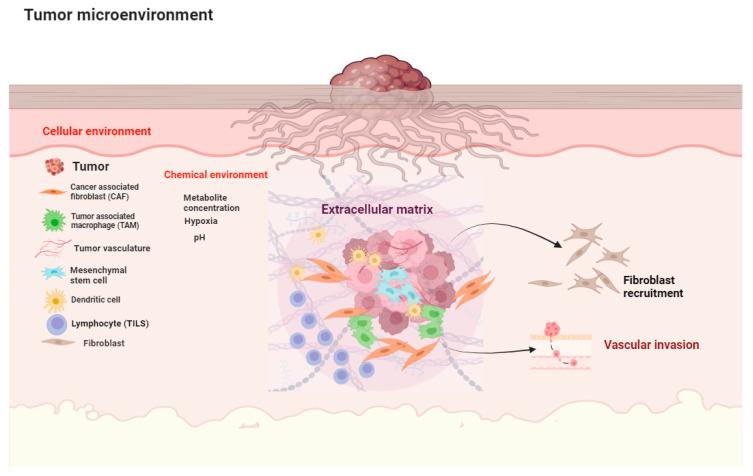https://cdn.ncbi.nlm.nih.gov/pmc/blobs/40b3/11083853/e7ae35987cea/cancers-16-01727-g001.jpg