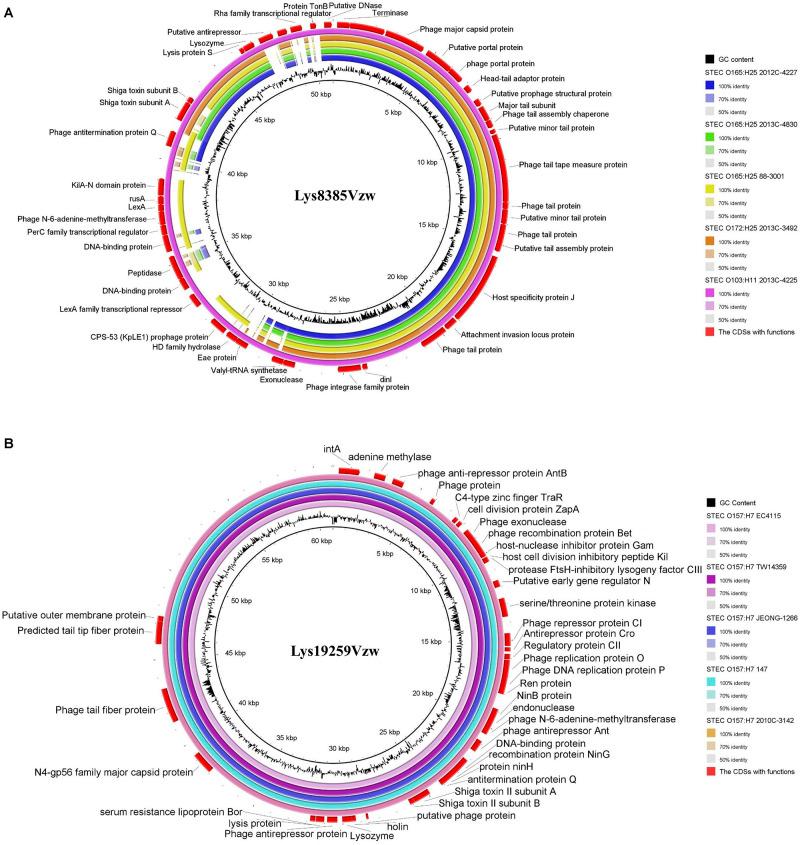 https://cdn.ncbi.nlm.nih.gov/pmc/blobs/40b5/7946995/28e05b67d9ec/fmicb-12-587696-g005.jpg