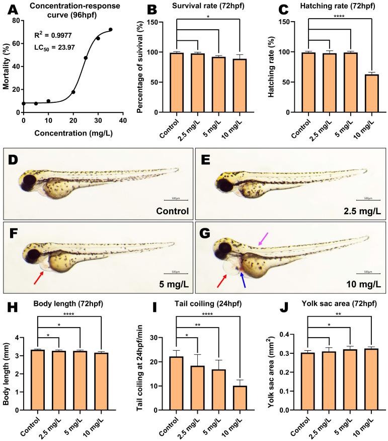 https://cdn.ncbi.nlm.nih.gov/pmc/blobs/40b5/9866970/7cafbf0b2240/toxics-11-00084-g001.jpg