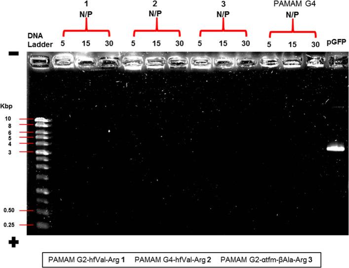 https://cdn.ncbi.nlm.nih.gov/pmc/blobs/40bb/10288444/1c1792d93066/bc3c00139_0004.jpg