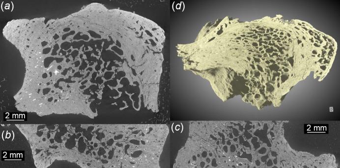 https://cdn.ncbi.nlm.nih.gov/pmc/blobs/40bc/11371053/4eba04766a13/s-31-01358-fig10.jpg