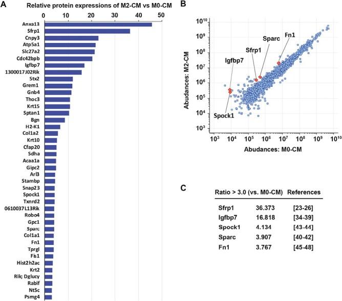 https://cdn.ncbi.nlm.nih.gov/pmc/blobs/40bd/11016837/5cb12102208f/szae006_fig6.jpg