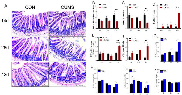 https://cdn.ncbi.nlm.nih.gov/pmc/blobs/40be/11641654/0c44ba897c7b/ijms-25-12998-g002.jpg