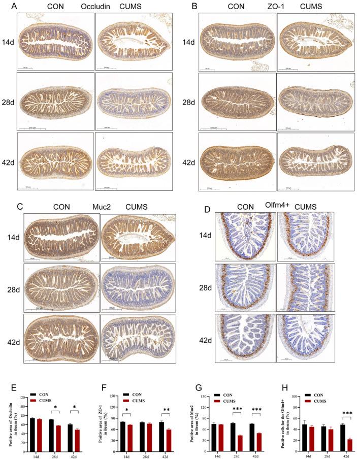 https://cdn.ncbi.nlm.nih.gov/pmc/blobs/40be/11641654/9593c9e4ec0f/ijms-25-12998-g003.jpg