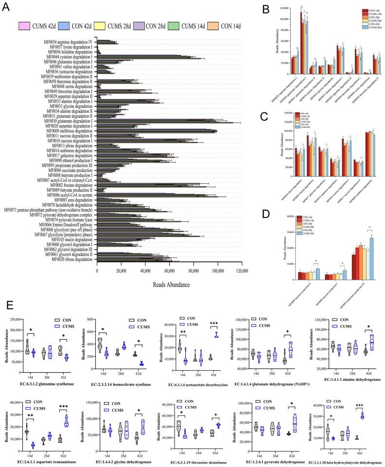 https://cdn.ncbi.nlm.nih.gov/pmc/blobs/40be/11641654/a29bd6701cf2/ijms-25-12998-g006.jpg