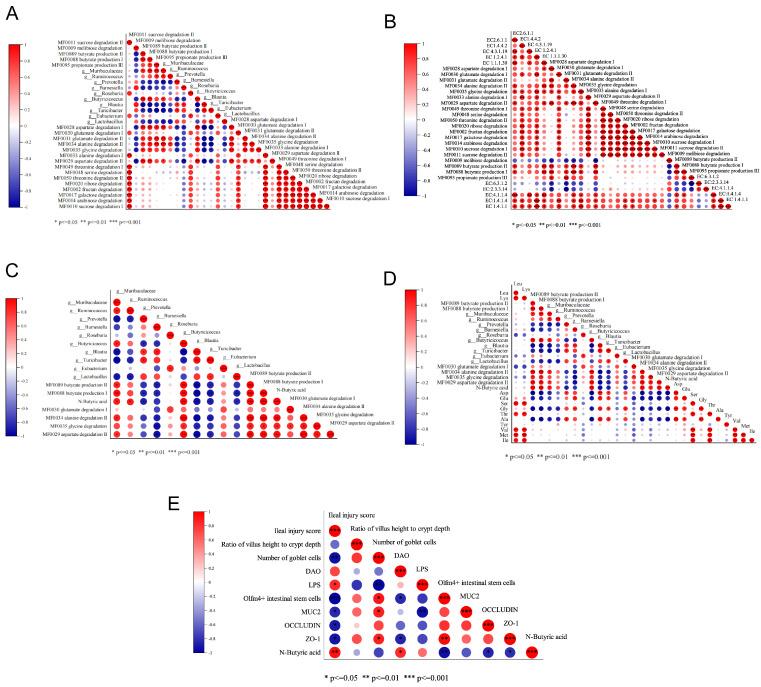 https://cdn.ncbi.nlm.nih.gov/pmc/blobs/40be/11641654/a8f756198ec5/ijms-25-12998-g008.jpg
