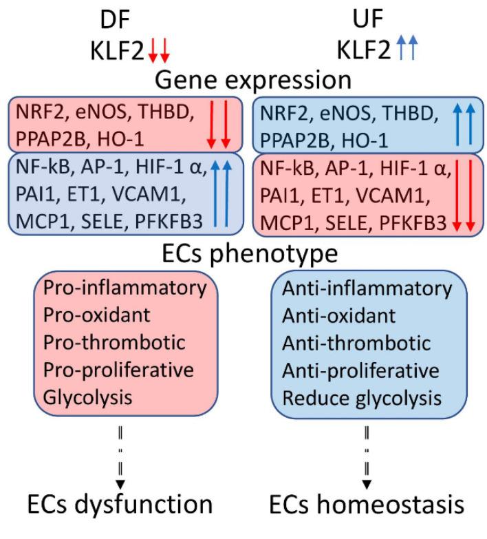 https://cdn.ncbi.nlm.nih.gov/pmc/blobs/40be/8869605/3942ae9e97ca/biomedicines-10-00254-g001.jpg