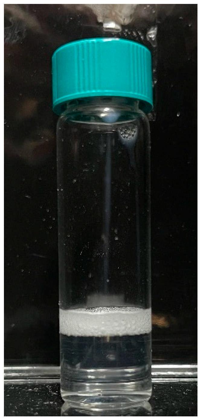 https://cdn.ncbi.nlm.nih.gov/pmc/blobs/40c0/11990080/faa402aead4f/molecules-30-01554-g001.jpg