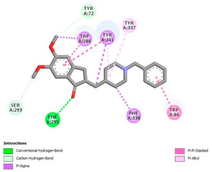 https://cdn.ncbi.nlm.nih.gov/pmc/blobs/40c0/11990080/fbba99bbbeff/molecules-30-01554-g006.jpg