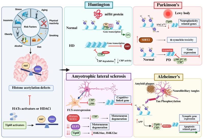 https://cdn.ncbi.nlm.nih.gov/pmc/blobs/40c0/12190429/28958480a9fb/cells-14-00873-g002.jpg