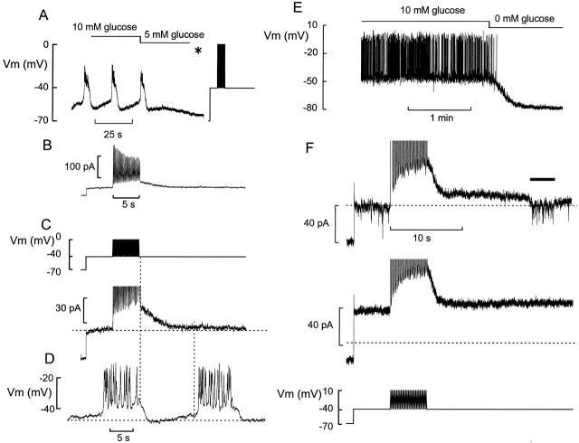 https://cdn.ncbi.nlm.nih.gov/pmc/blobs/40c0/2230648/8f0dfc3fe3a3/JGP8022.f1.jpg